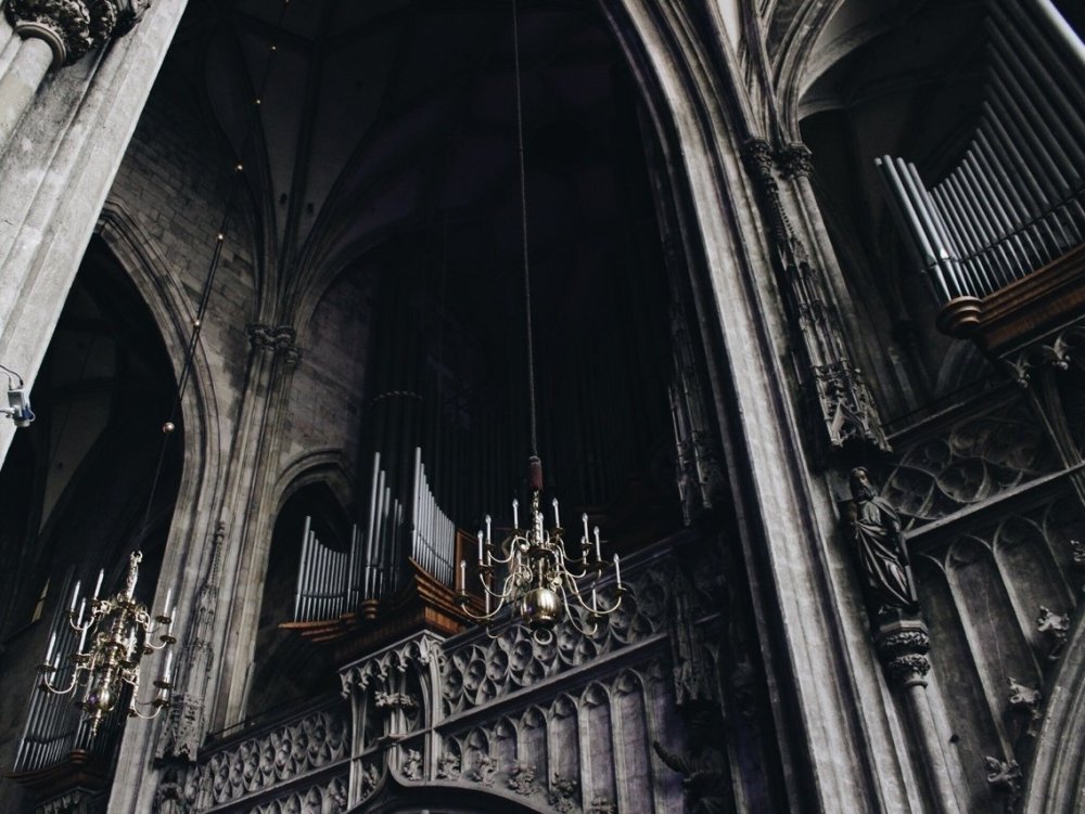 Вампирская Эстетика дарк Академия