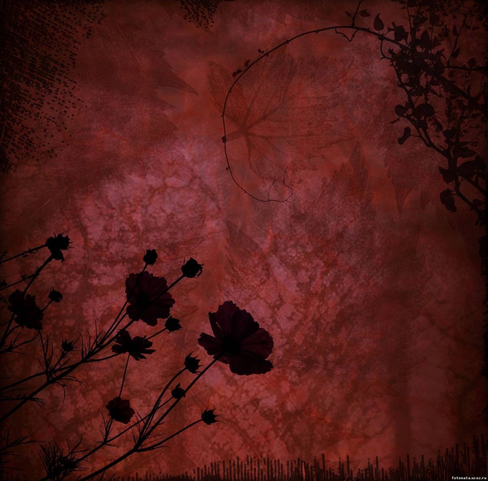 Мрачные цвета