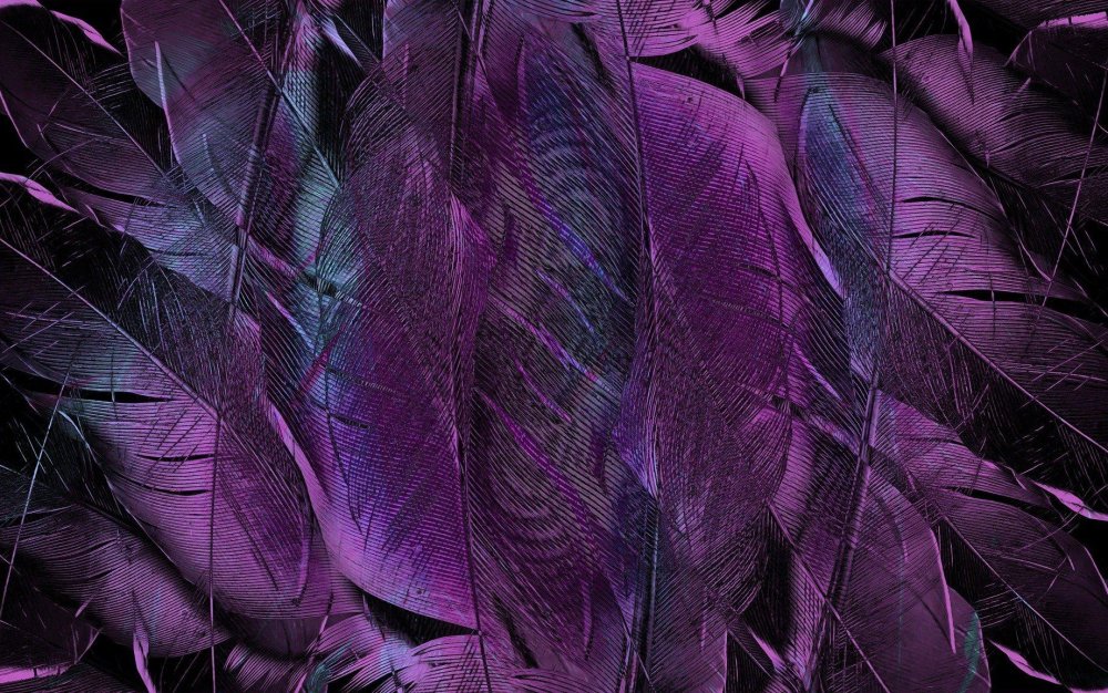 Королевский пурпур Королевский