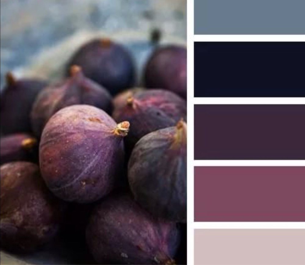 Сочетание цветов сливовый