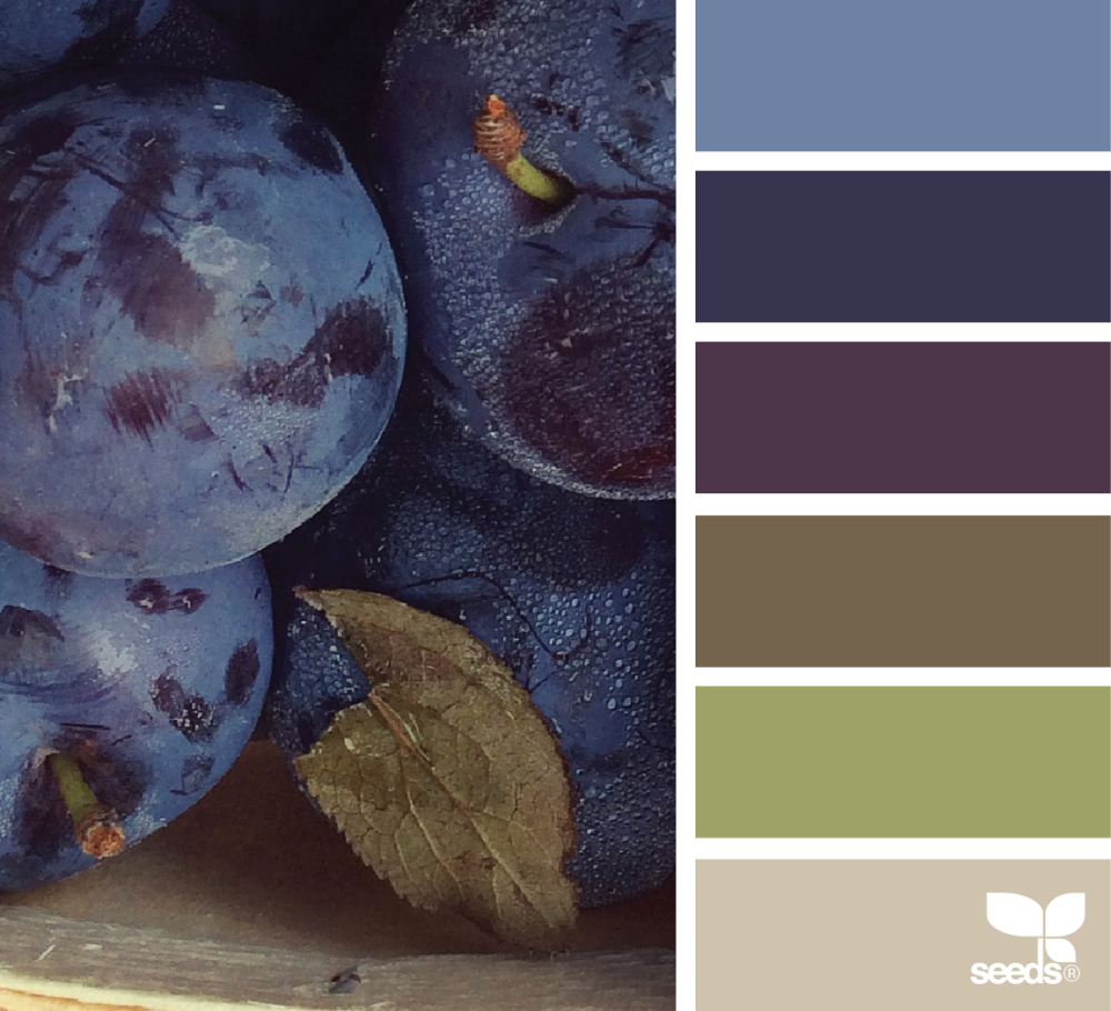 Цветовые сочетания Инжирный