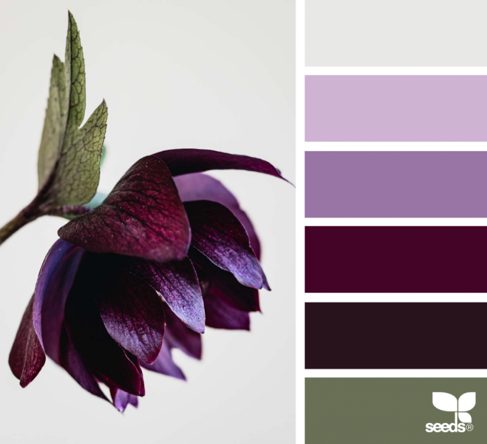 Палитра грей Лилак