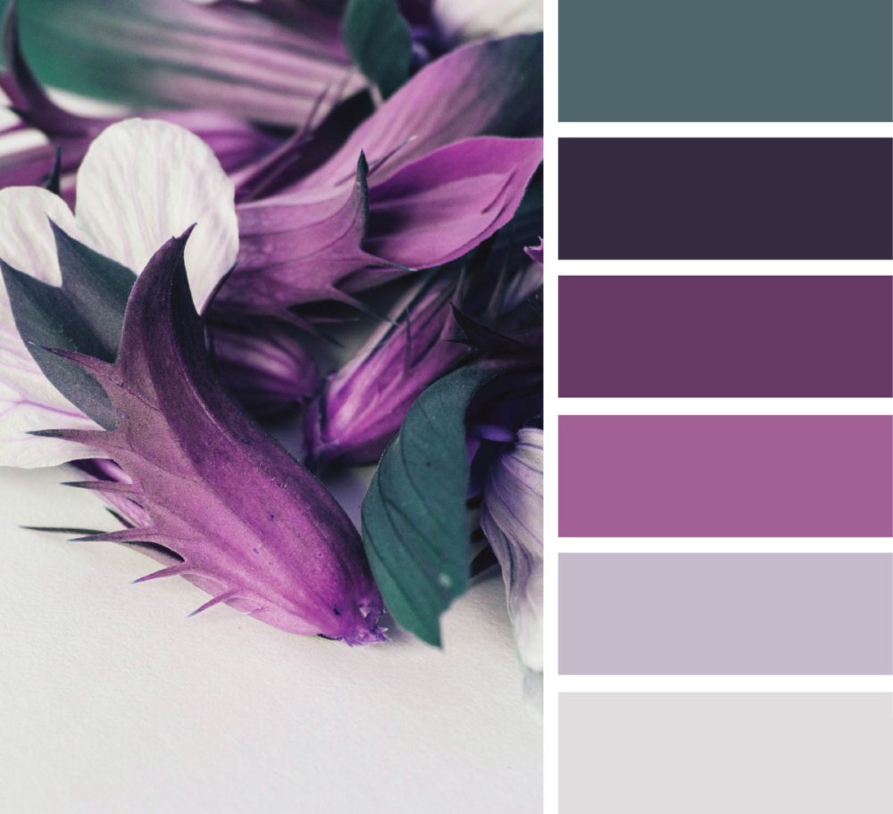 Сливовый цвет