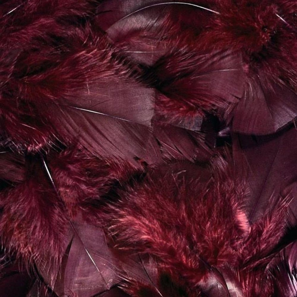 Бордовые перья
