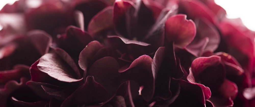 Бордовый цвет фото