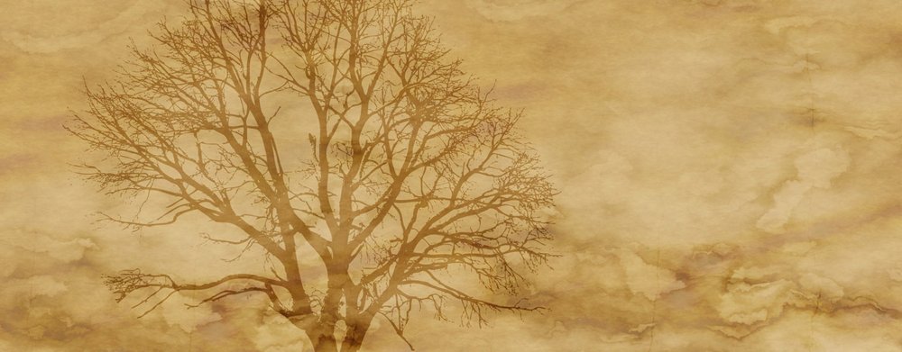 Бежевое дерево