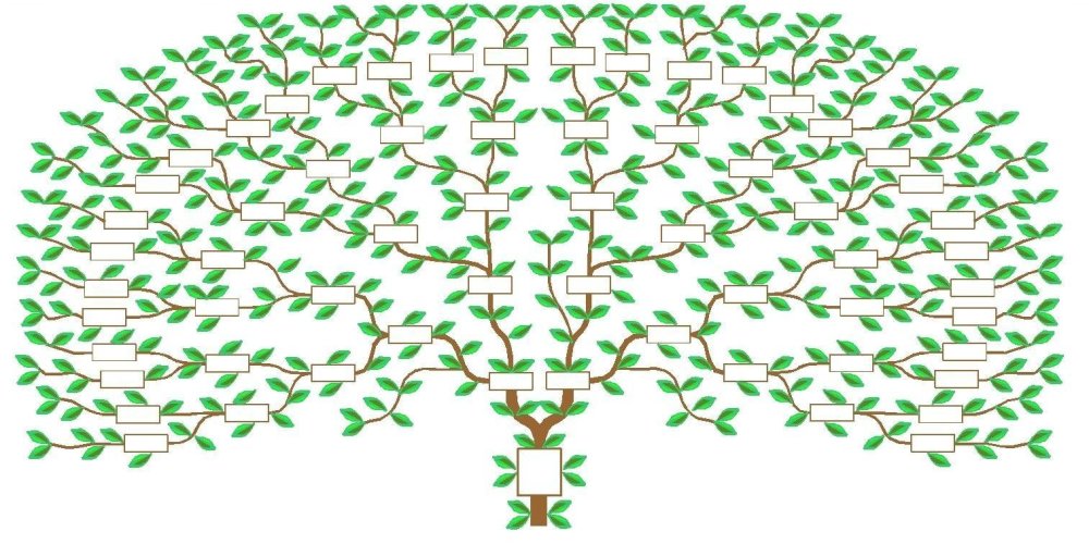 Генеалогическое дерево