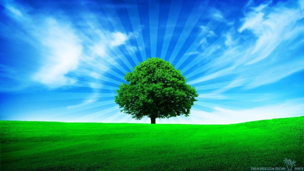 Фон для генеалогического дерева