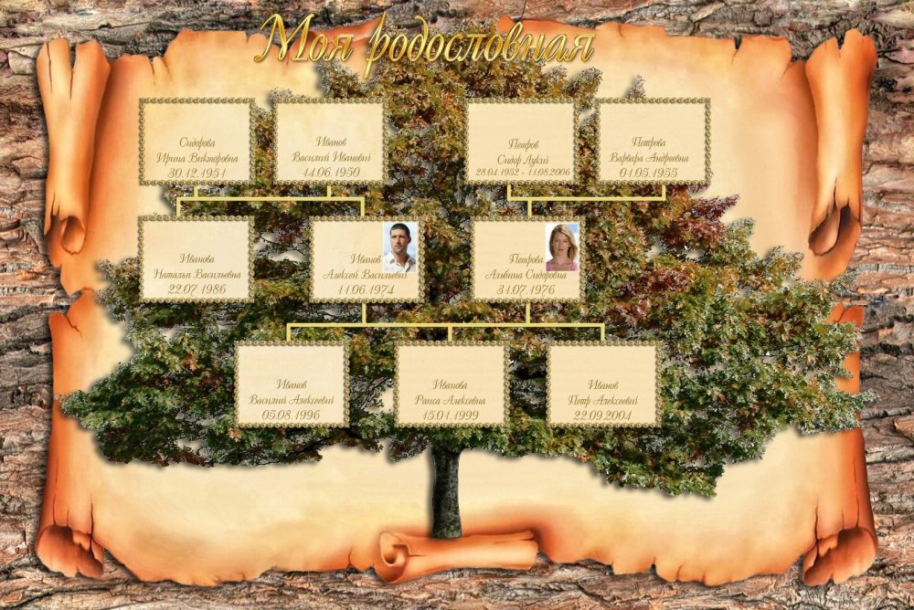 Семейное Древо Бэггинсов