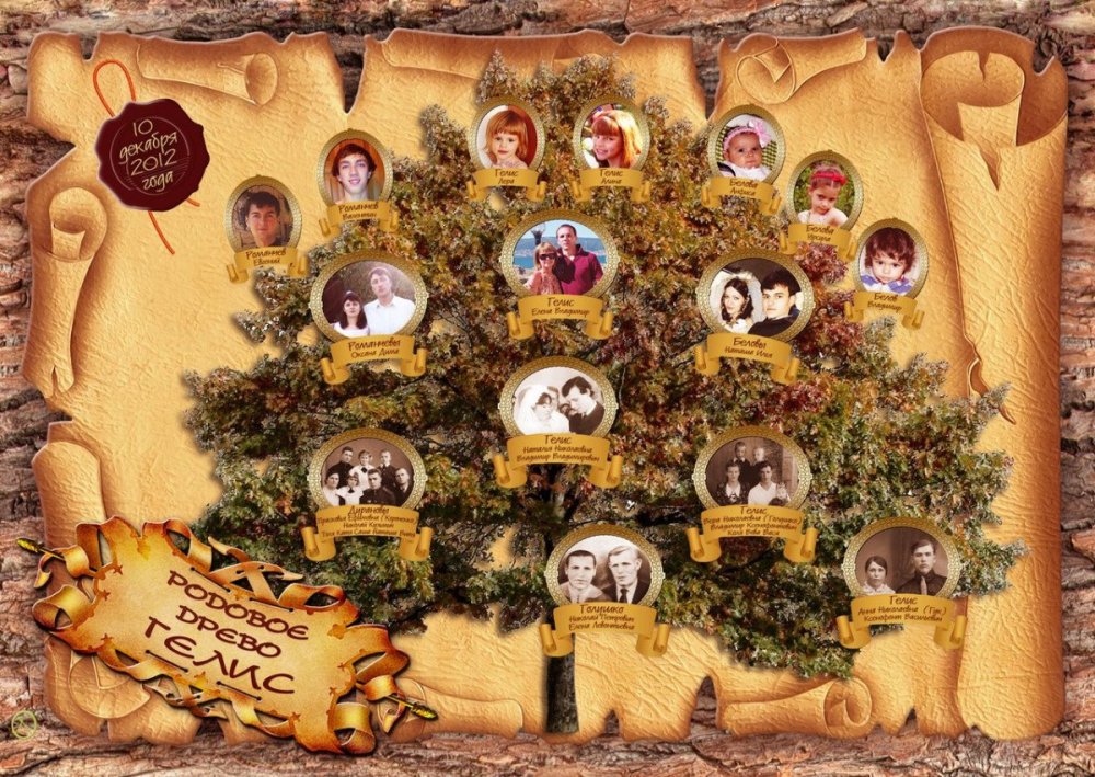 Родословная на а4