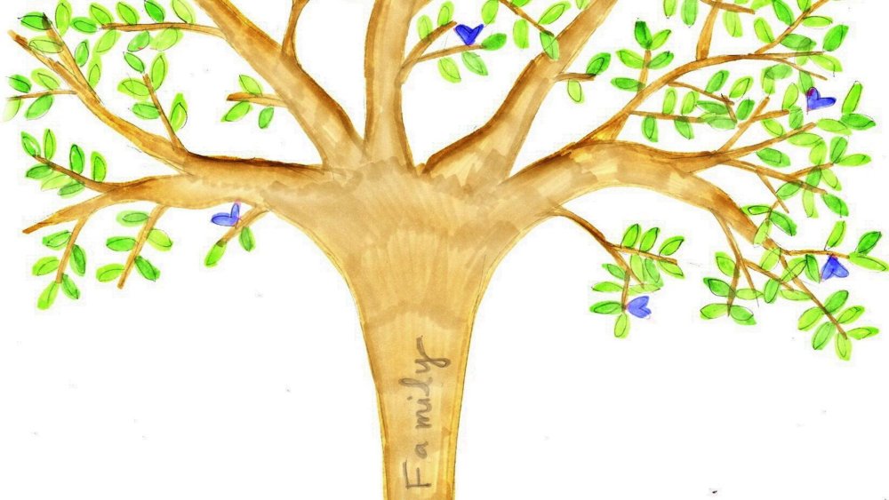 Красивое родословное дерево