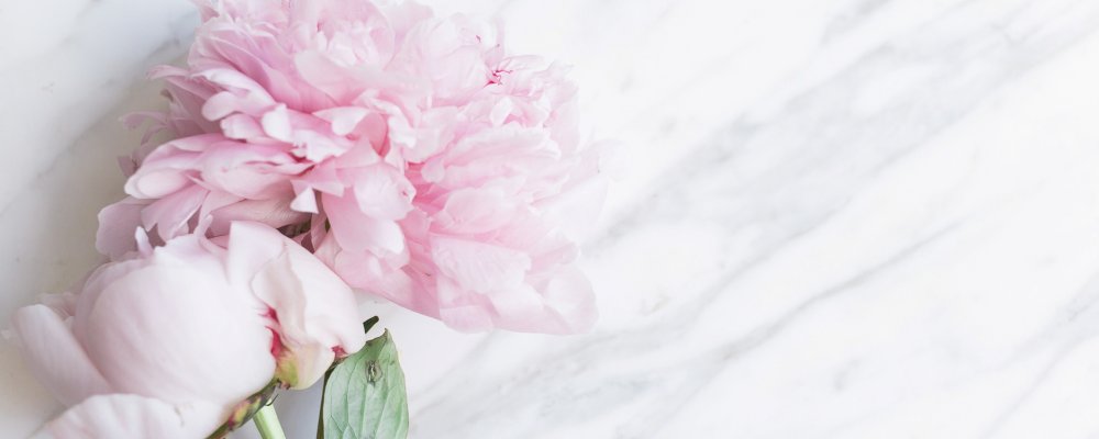 Фон для открытки пионы