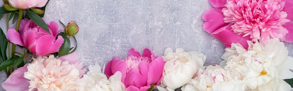 Розовые цветы