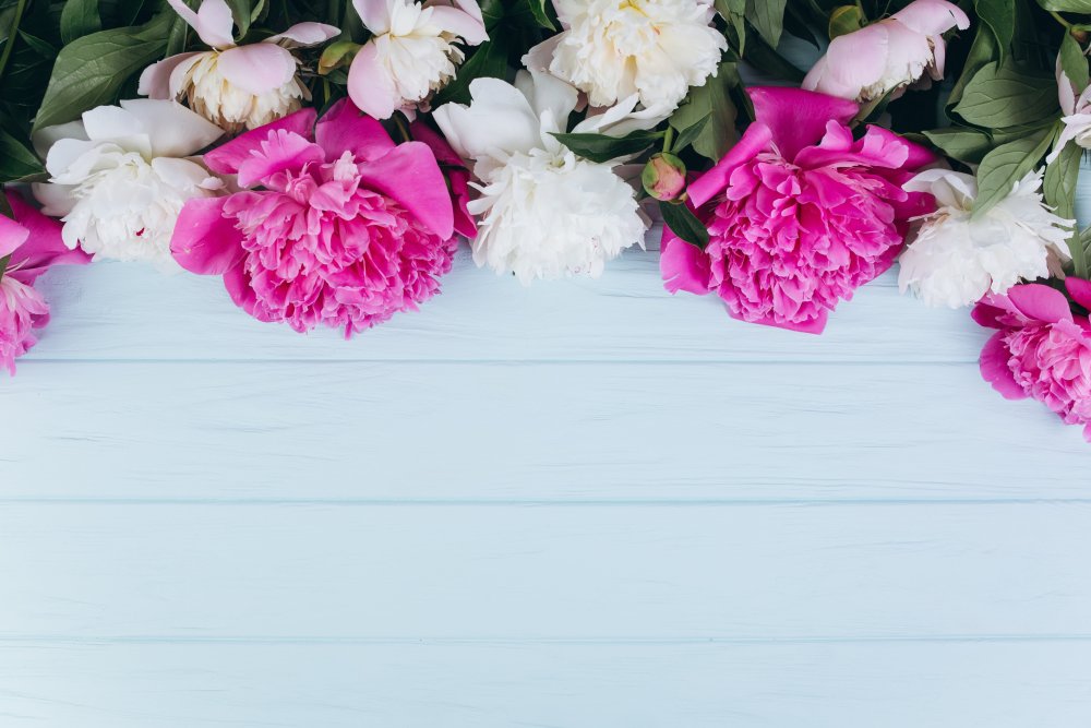 Фон для рекламы с пионами