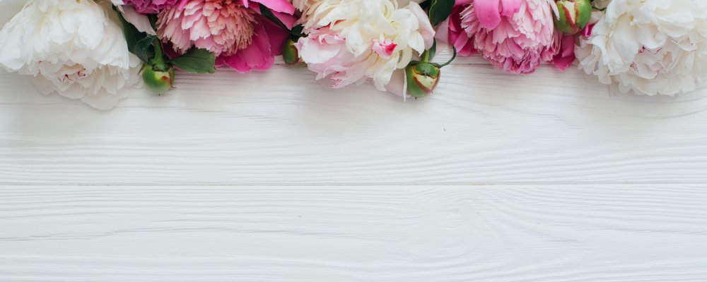 Пастельный Ганс пион