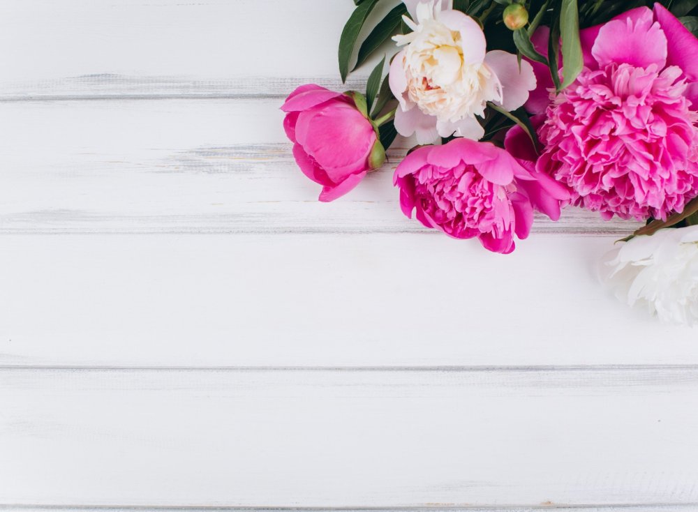 Обложка для сообщества в ВК цветы