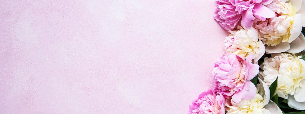 Стена из пионов