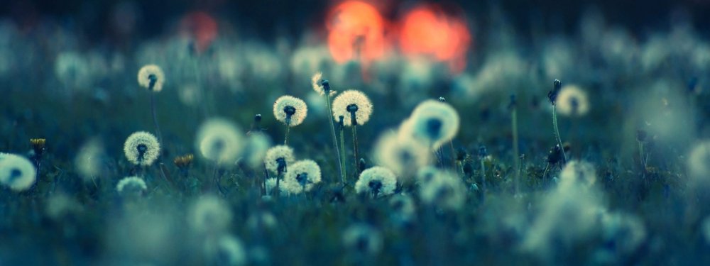 Розовое небо