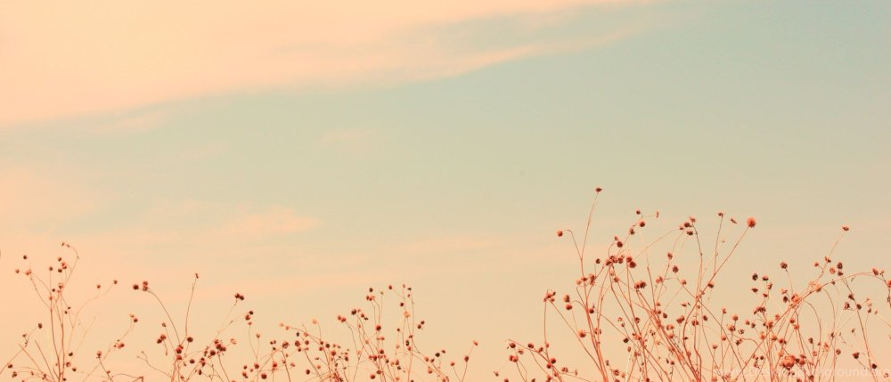 Красивый фон Эстетика