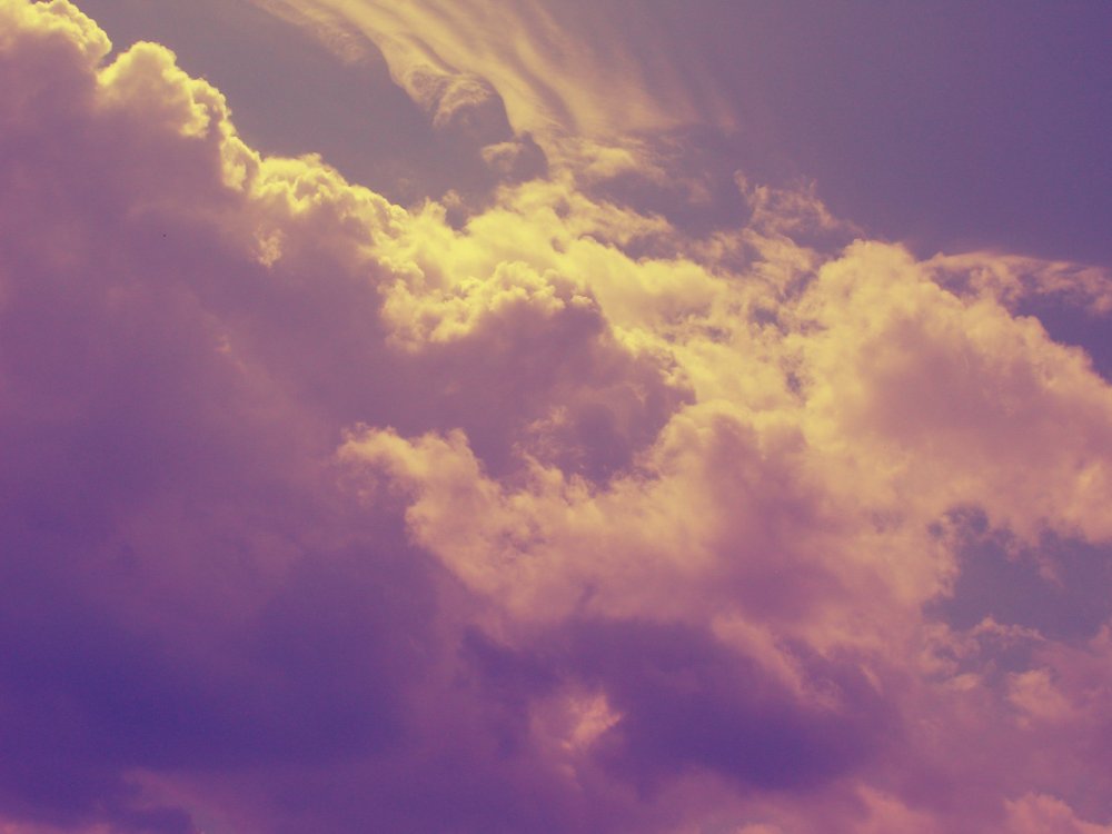 Фон с котиками