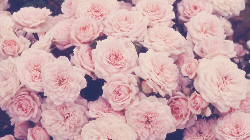 Обои на телефон Эстетика для подростков