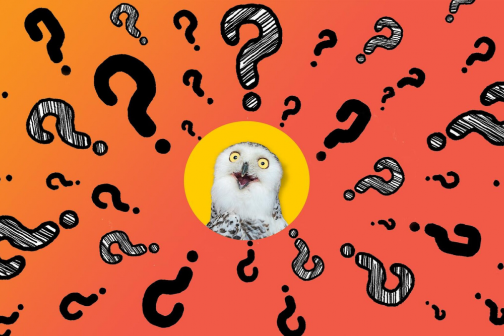 Красивый фон для викторины