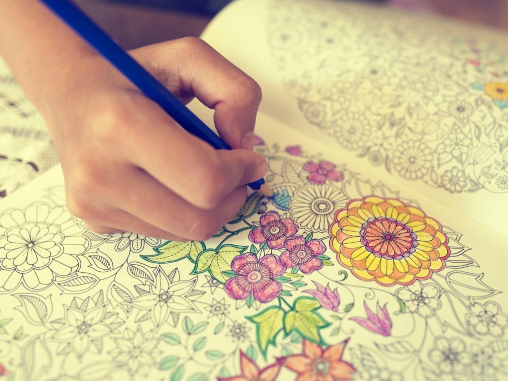 Раскрась свою жизнь яркими красками