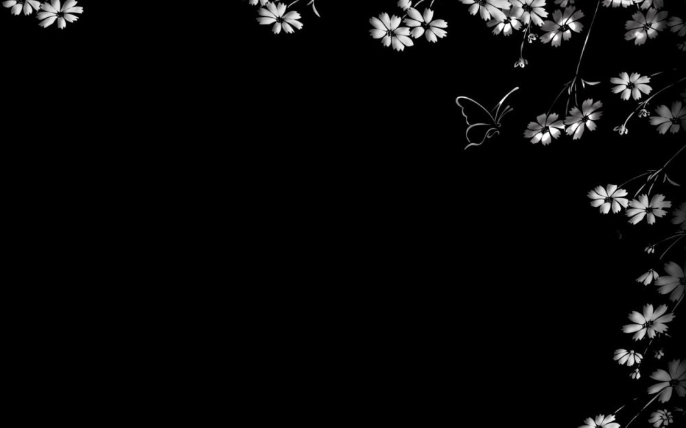 Цветы на черном фоне