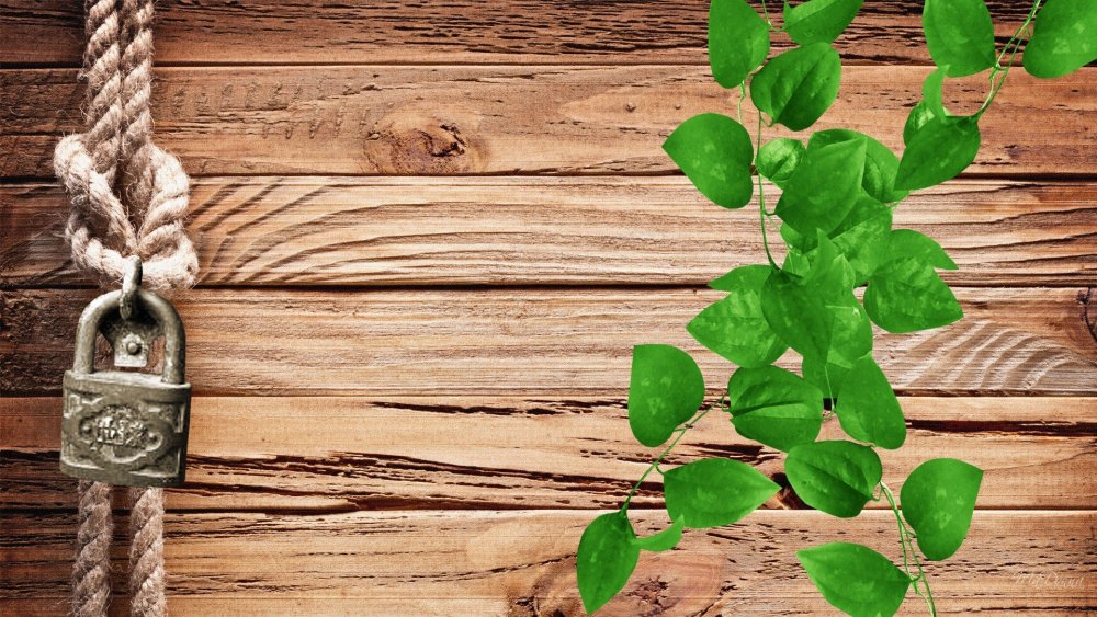 Деревянная доска