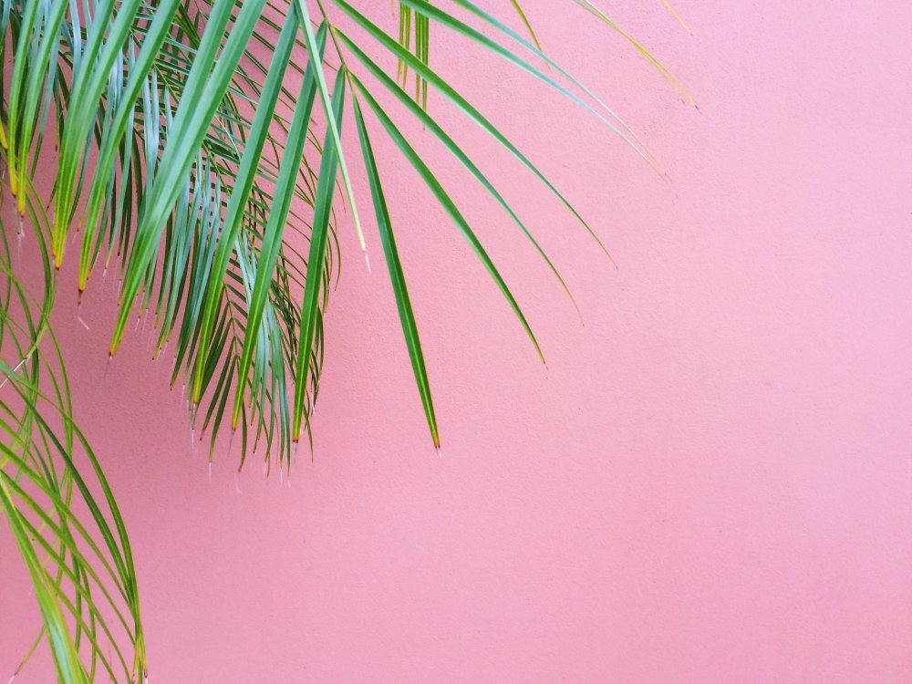 Пастельный розовый