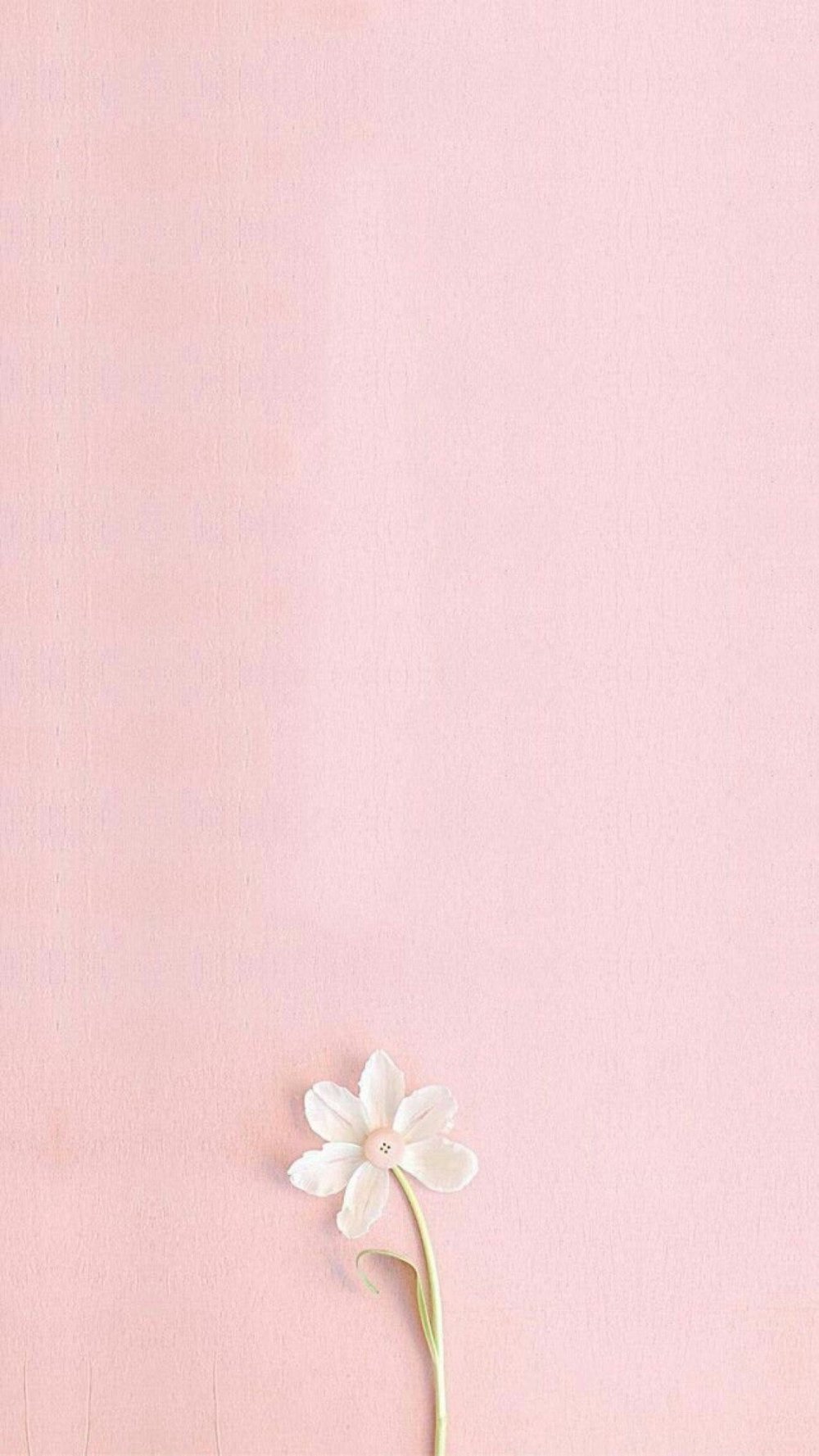 Розовая дымка