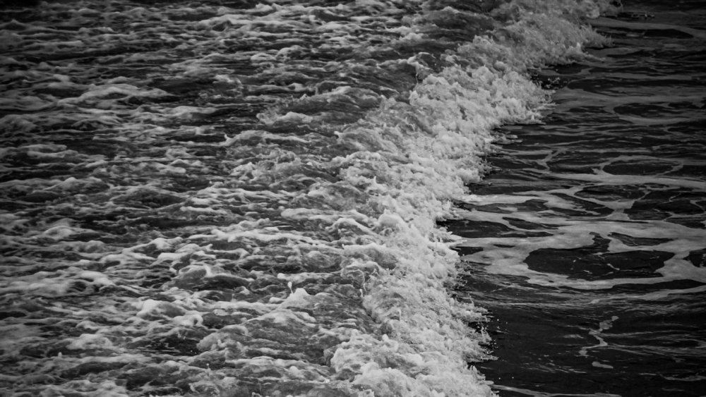 Темные воды