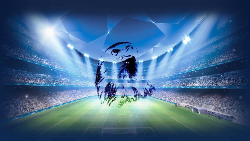 Футбольный стадион синий