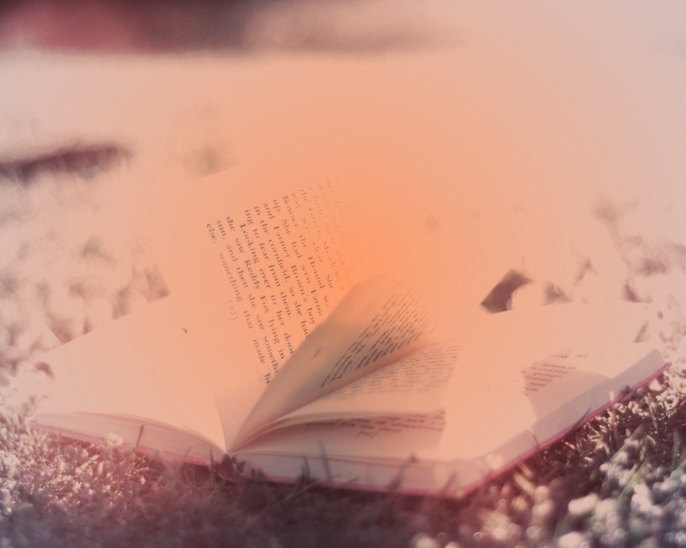 Фон с книгами красивый