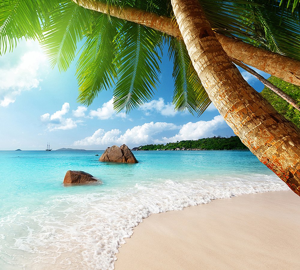 Парадиз остров Карибского моря