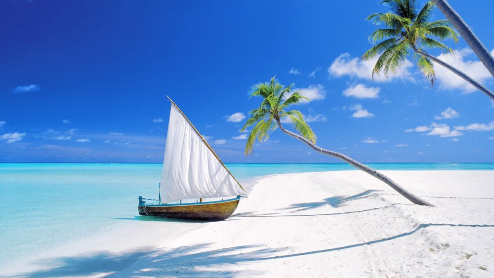 Море пальмы яхта