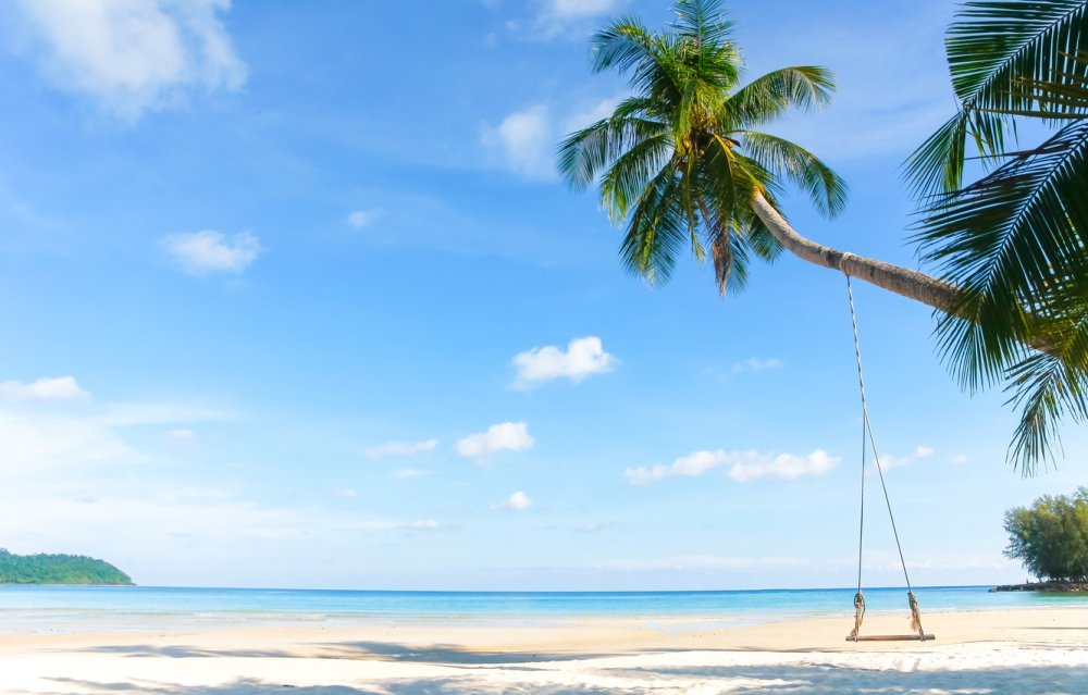 Море пальмы и песок