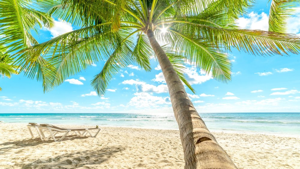 Карибское море Доминикана