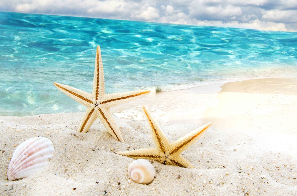 Фон лето пляж