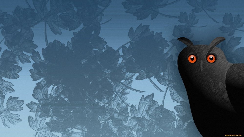 Фон для рабочего стола Сова