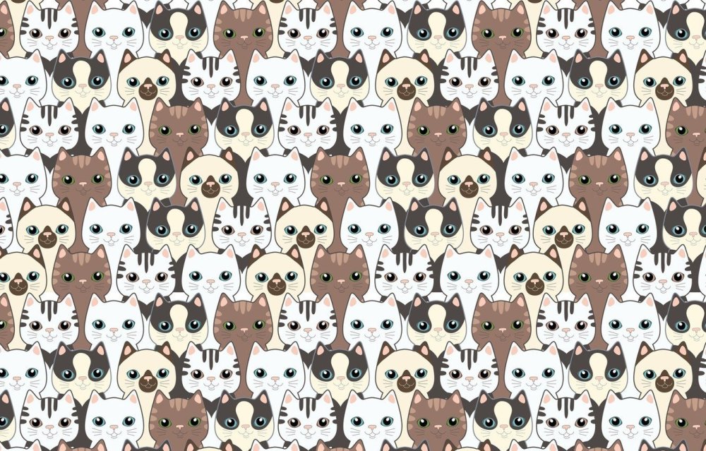 Принт кошки
