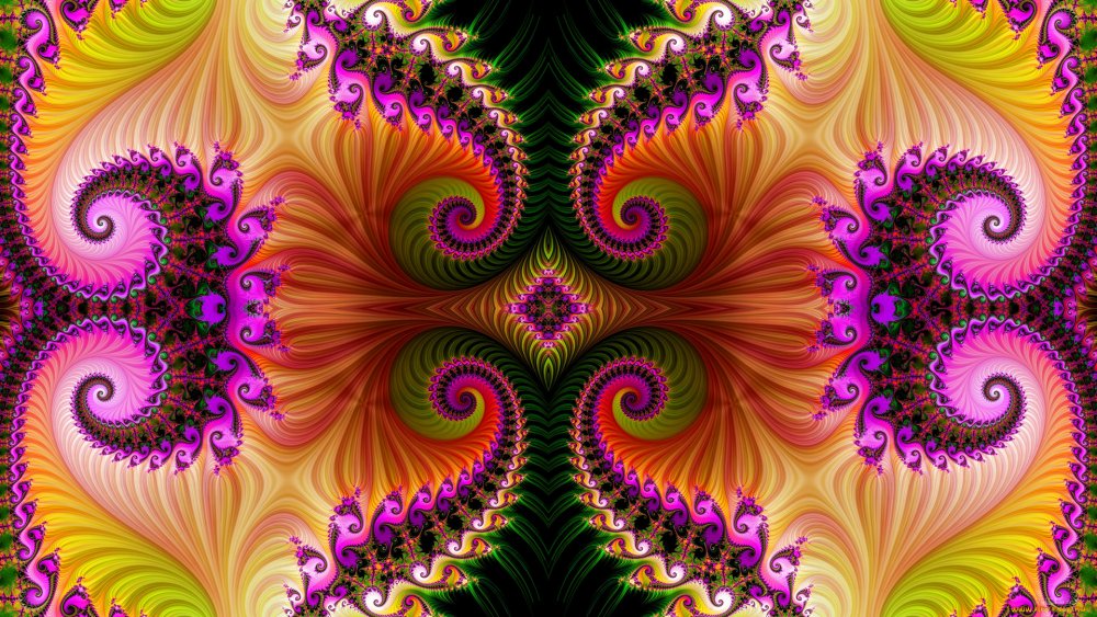 Цветы абстракция