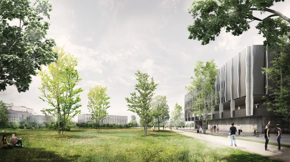 Фон для визуализации