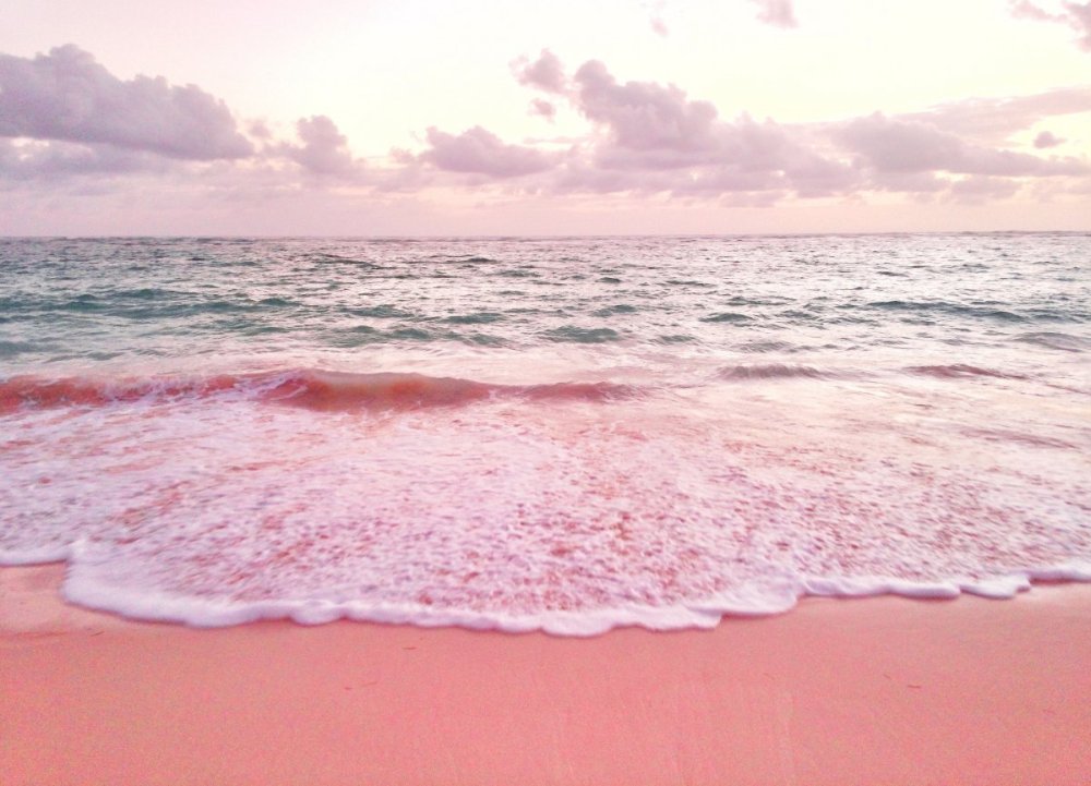 Розовое море