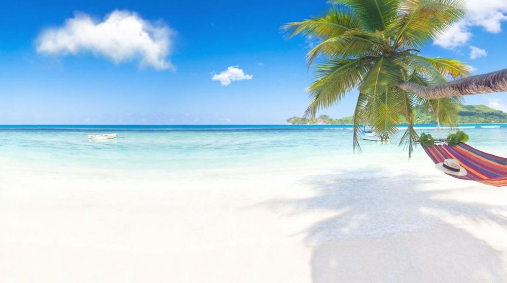 Море пляж пальмы