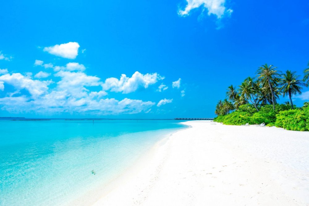 Мальдивы фон для Зума