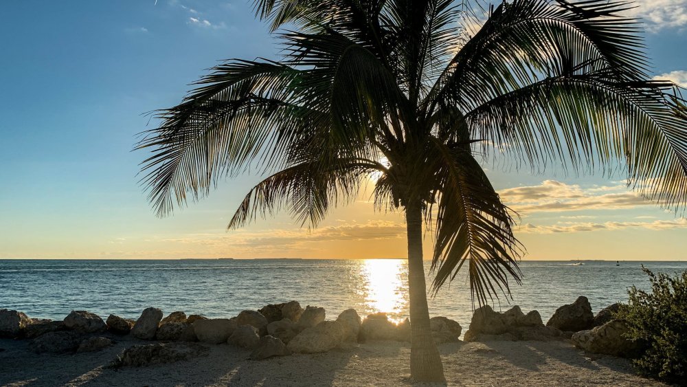 Фон для Зума море