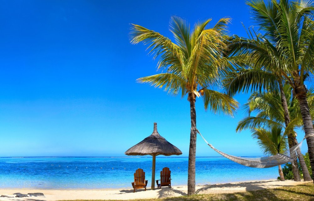 Пляж с пальмами