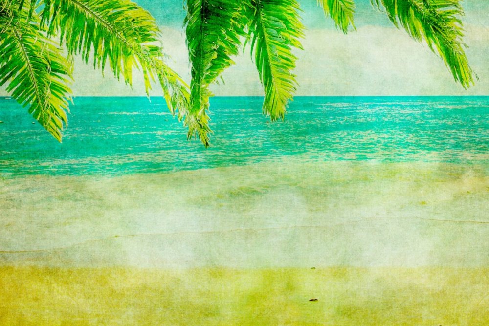 Море пляж пальмы