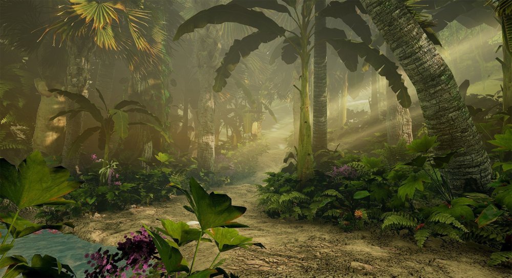 Джунгли Геншин фон